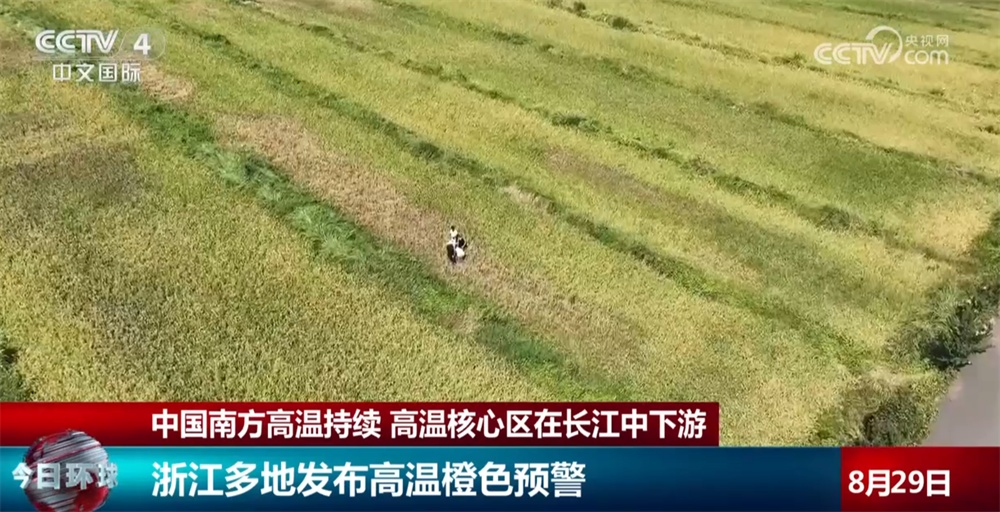 浇水解渴、供水调度、蓄水保水节水……南方多地积极应对高温天气