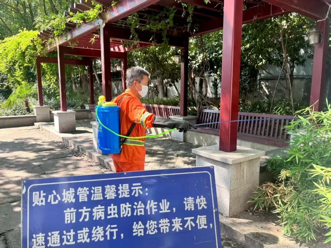 蚊虫传播活跃期！杭州确认 已启动消杀