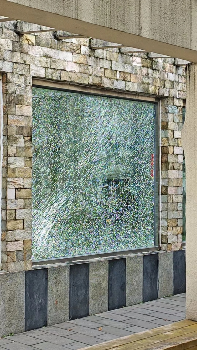 山魈突然扔石头砸碎展馆玻璃，成都动物园：人和动物均未受伤，将换新玻璃