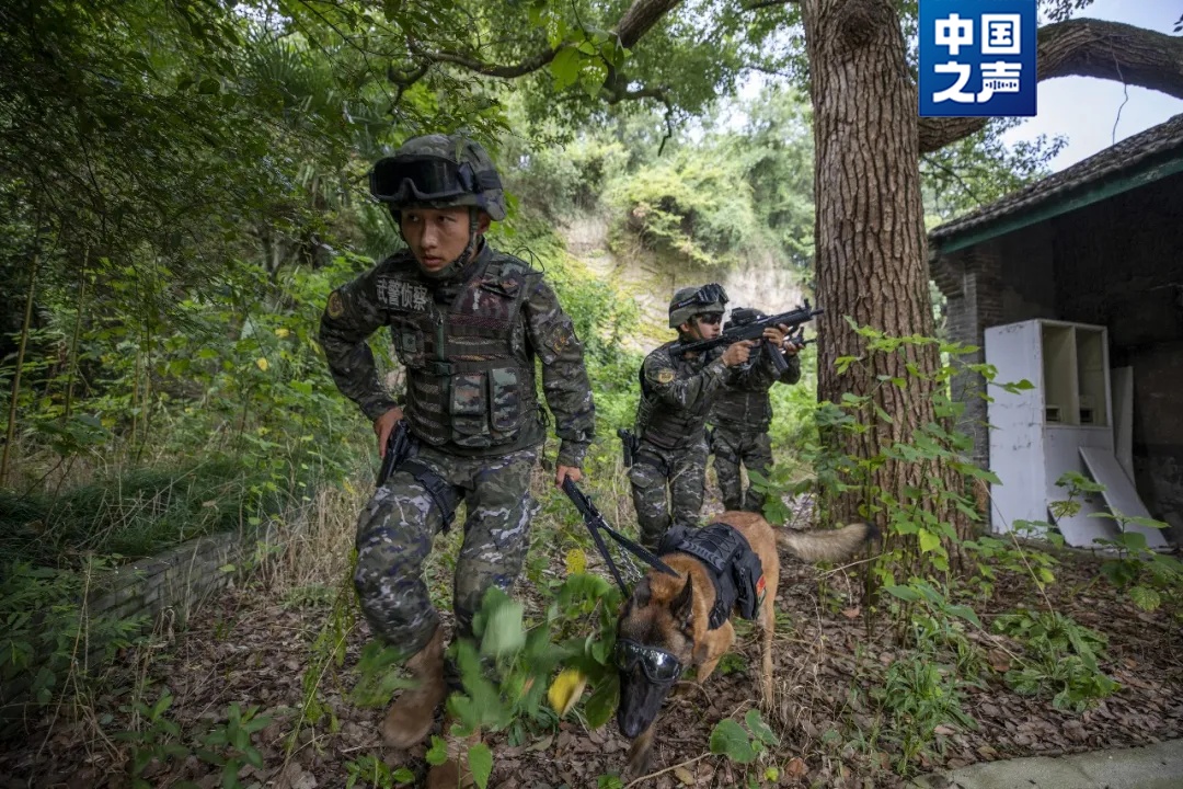 “好好吃饭,好好睡觉,不要把别人家拆了”…… “好好吃饭,好好睡觉,不要把别人家拆了”……