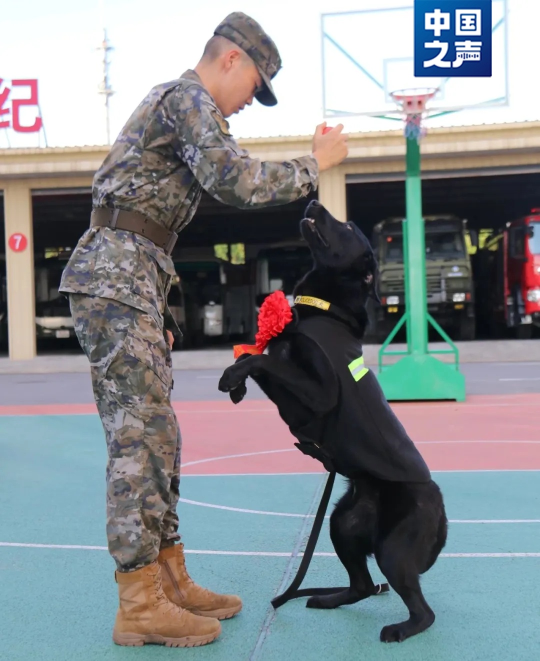 “好好吃饭,好好睡觉,不要把别人家拆了”…… “好好吃饭,好好睡觉,不要把别人家拆了”……