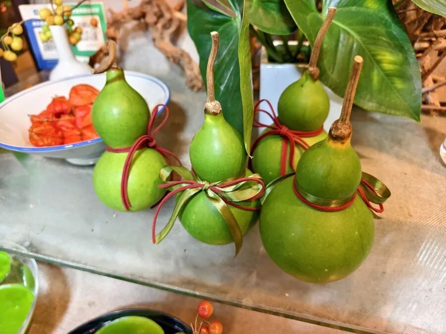 十几元买来的“慢快乐”：这届年轻人，迷上了“养成系”盘葫芦