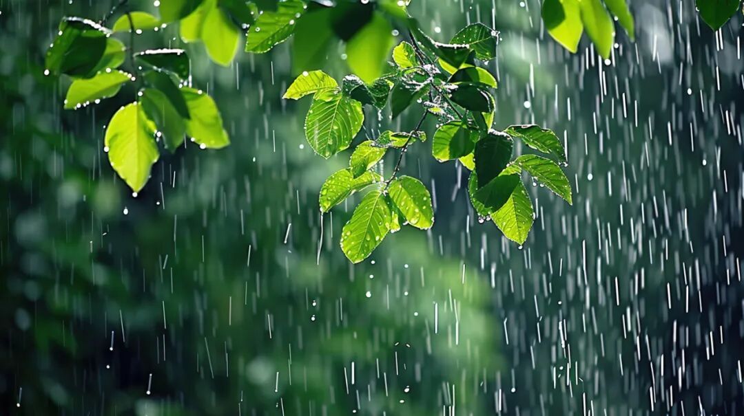 新台风或将生成！暴雨、大暴雨！江苏最新预测