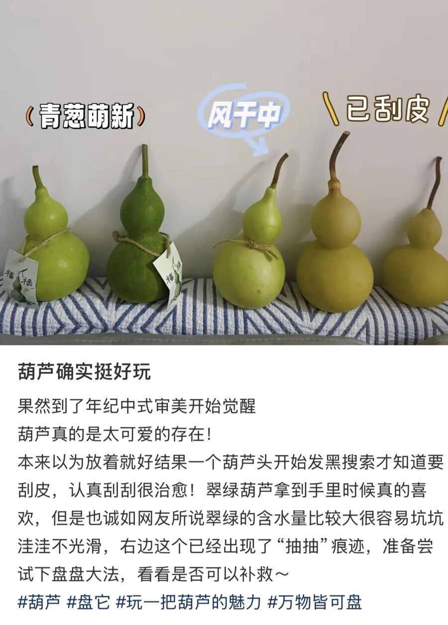 十几元买来的“慢快乐”：这届年轻人，迷上了“养成系”盘葫芦