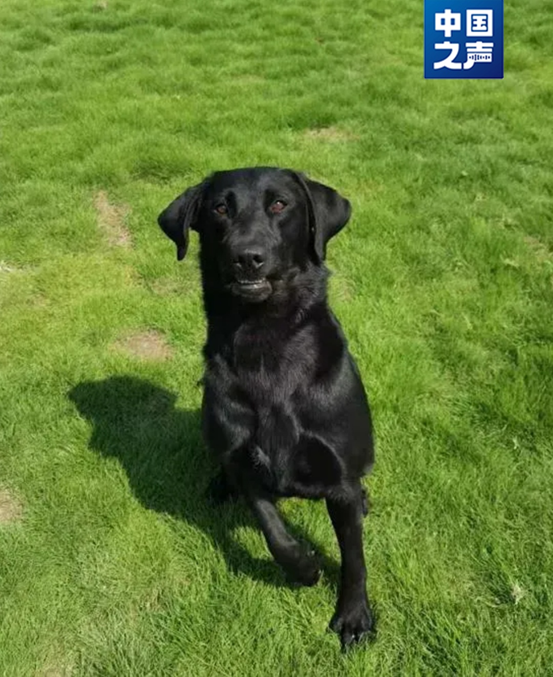 “好好吃饭,好好睡觉,不要把别人家拆了”…… “好好吃饭,好好睡觉,不要把别人家拆了”……