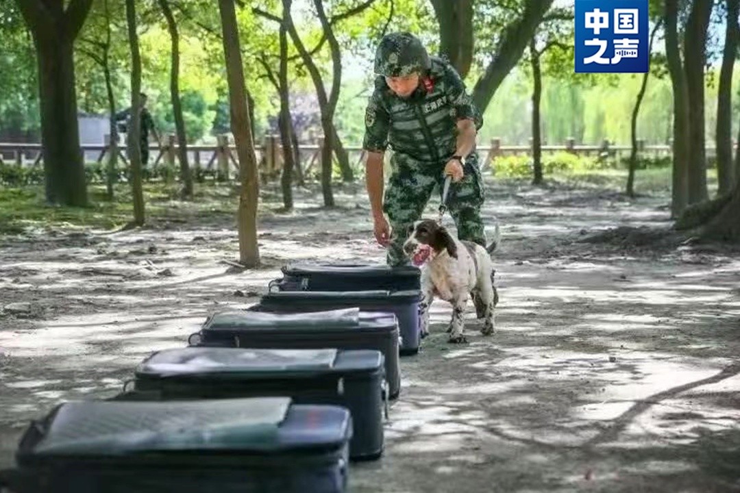 “好好吃饭,好好睡觉,不要把别人家拆了”…… “好好吃饭,好好睡觉,不要把别人家拆了”……