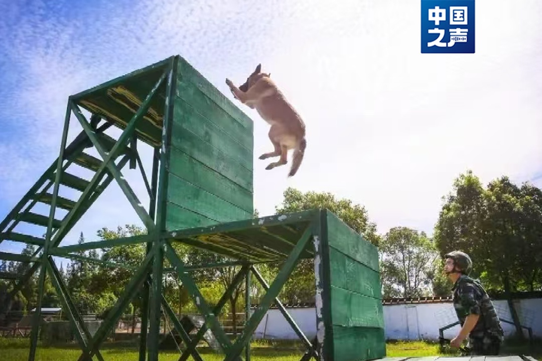 “好好吃饭,好好睡觉,不要把别人家拆了”…… “好好吃饭,好好睡觉,不要把别人家拆了”……