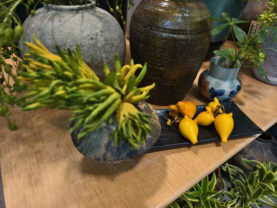 十几元买来的“慢快乐”：这届年轻人，迷上了“养成系”盘葫芦