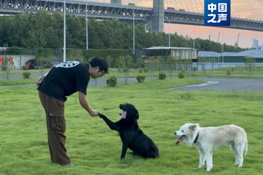 “好好吃饭,好好睡觉,不要把别人家拆了”…… “好好吃饭,好好睡觉,不要把别人家拆了”……