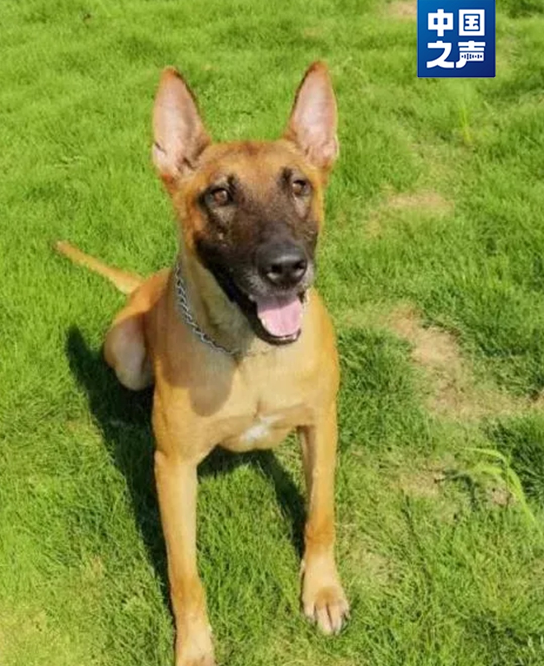 “好好吃饭,好好睡觉,不要把别人家拆了”…… “好好吃饭,好好睡觉,不要把别人家拆了”……