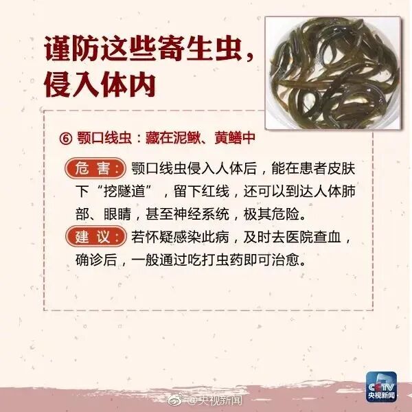 不要吃!不要吃!男子脑中揪出18cm长虫,还是活的!医生:很多人都爱吃...... 不要吃!不要吃!男子脑中揪出18cm长虫,还是活的!医生:很多人都爱吃......