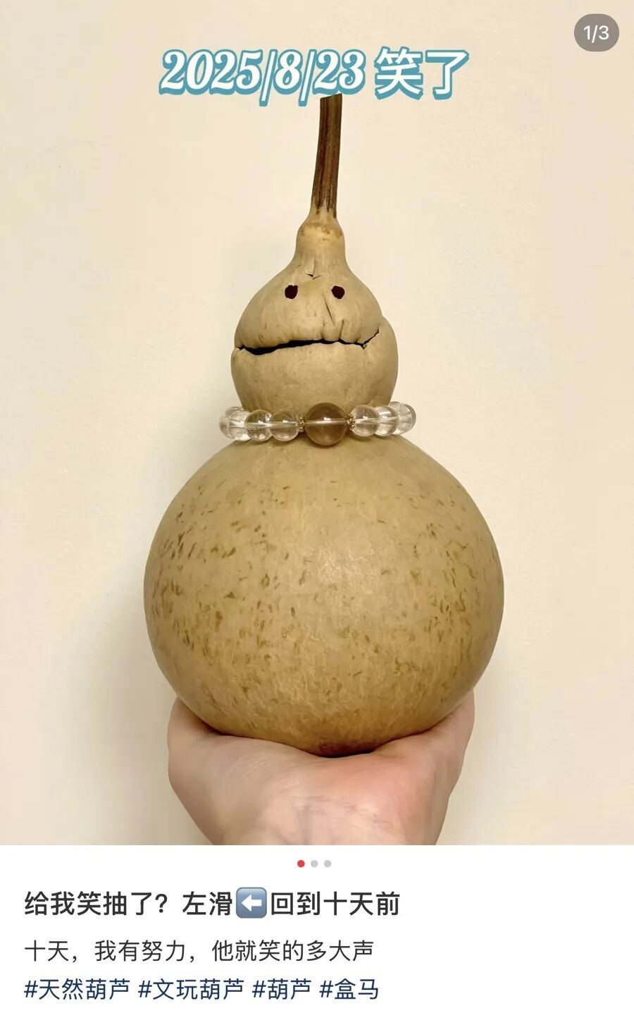 十几元买来的“慢快乐”：这届年轻人，迷上了“养成系”盘葫芦