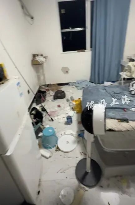 “00后”情侣租客失联，留下一屋恶臭、满地苍蝇蛆虫和两只小猫！上海房东崩溃……
