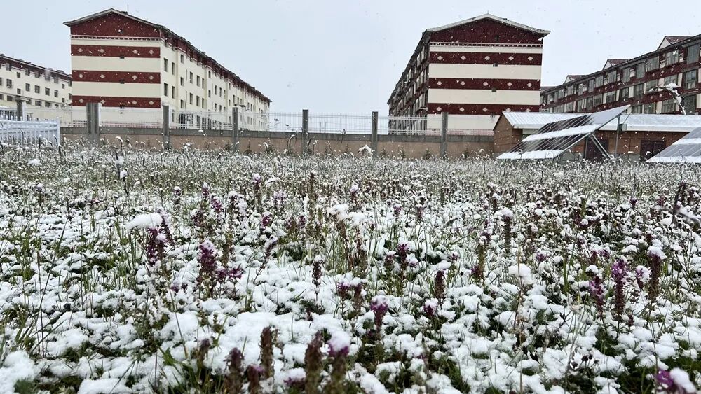 就下雪了？多股冷空气来袭 北方陆续开启入秋进程