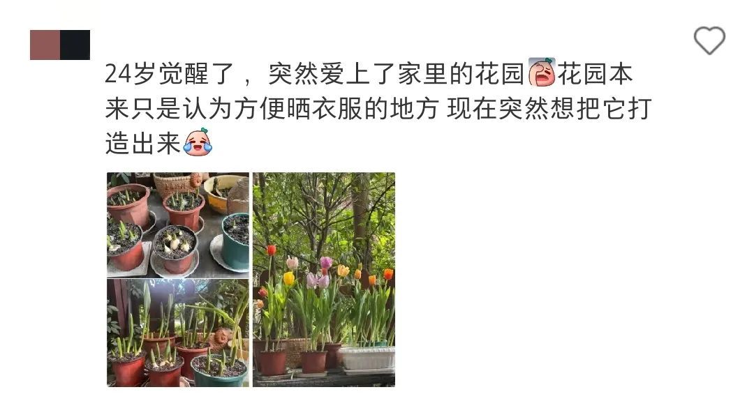 小时候以为大人不爱吃零食是“装”的，直到现在才发现……