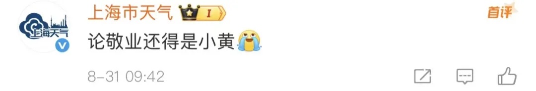 上海发布冰雹预警！暴雨+大风+雷电，8月中下旬高温“大满贯”，降温时间定了