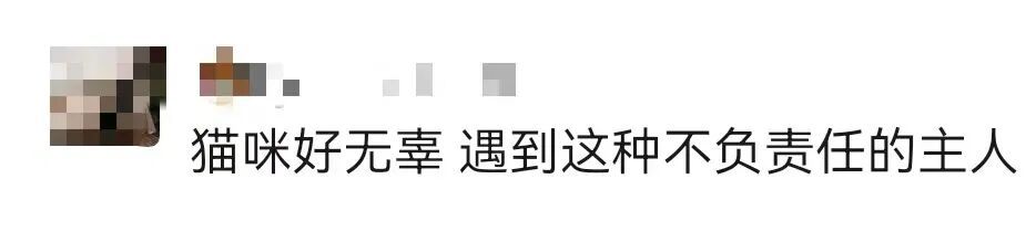 “00后”情侣租客失联，留下一屋恶臭、满地苍蝇蛆虫和两只小猫！上海房东崩溃……