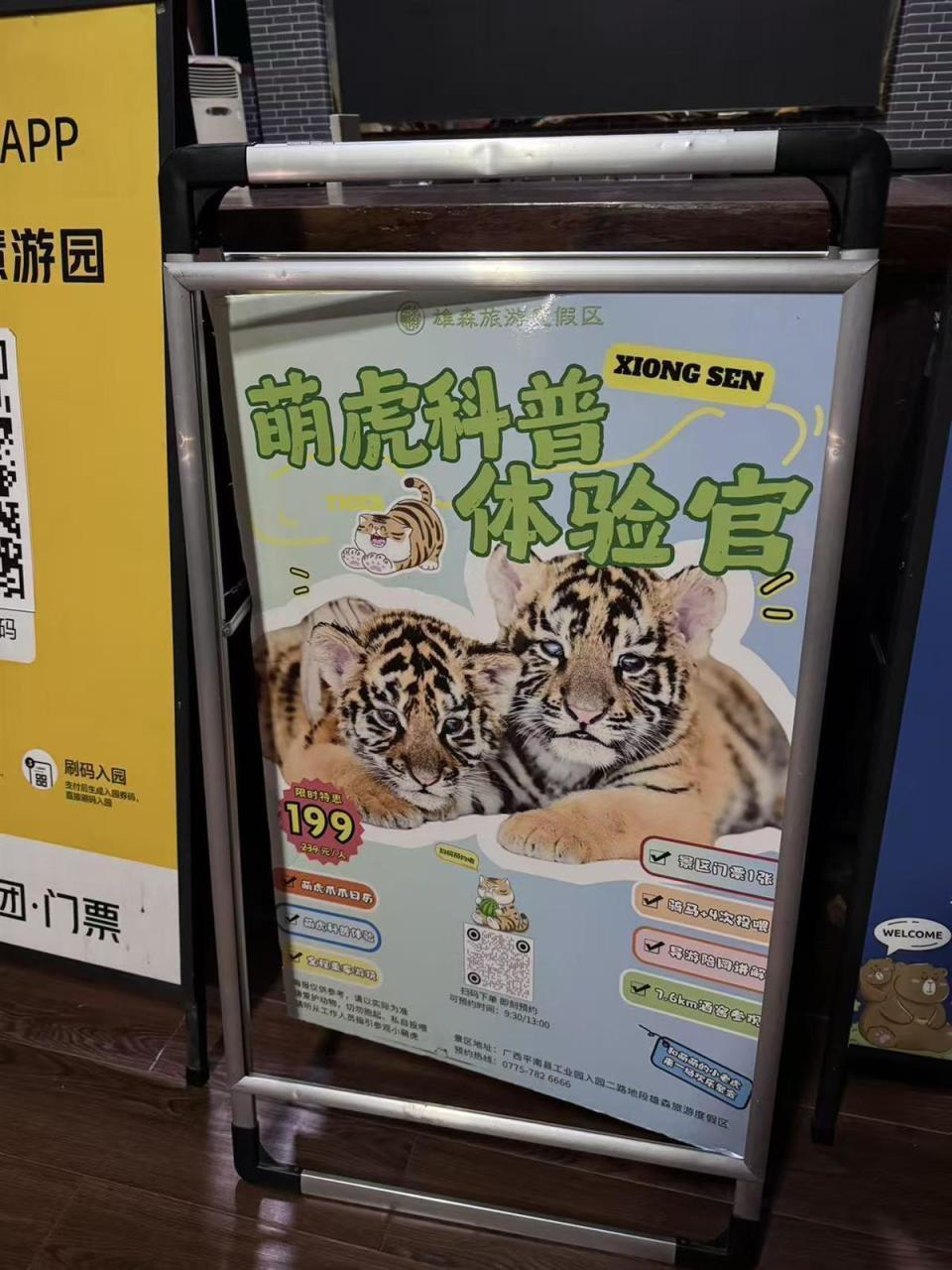 7岁女童和小老虎“亲密互动”，遭其咬伤右腿，家长：需打5针狂犬疫苗，已报警