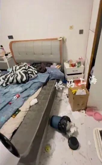 “00后”情侣租客失联，留下一屋恶臭、满地苍蝇蛆虫和两只小猫！上海房东崩溃……