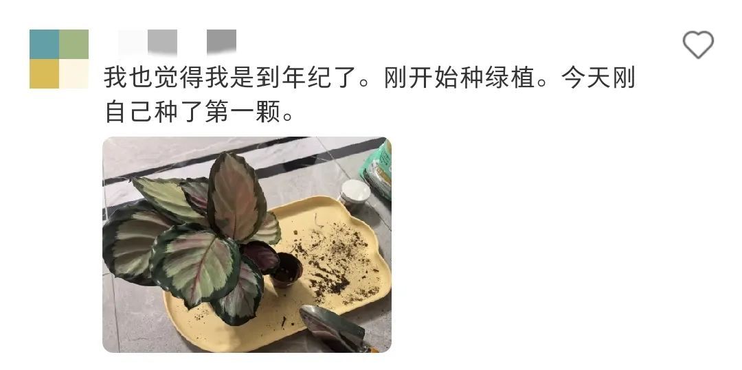 小时候以为大人不爱吃零食是“装”的，直到现在才发现……