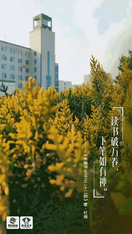 请查收！西安高校送来唐诗版开学祝福