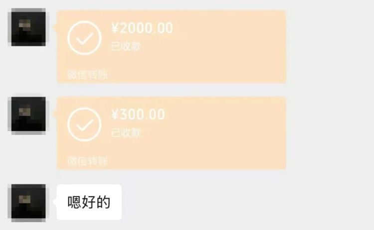 什么“腐乳”要4500？女子想“捡漏”在网上买相机遭遇一场“腐乳”骗局