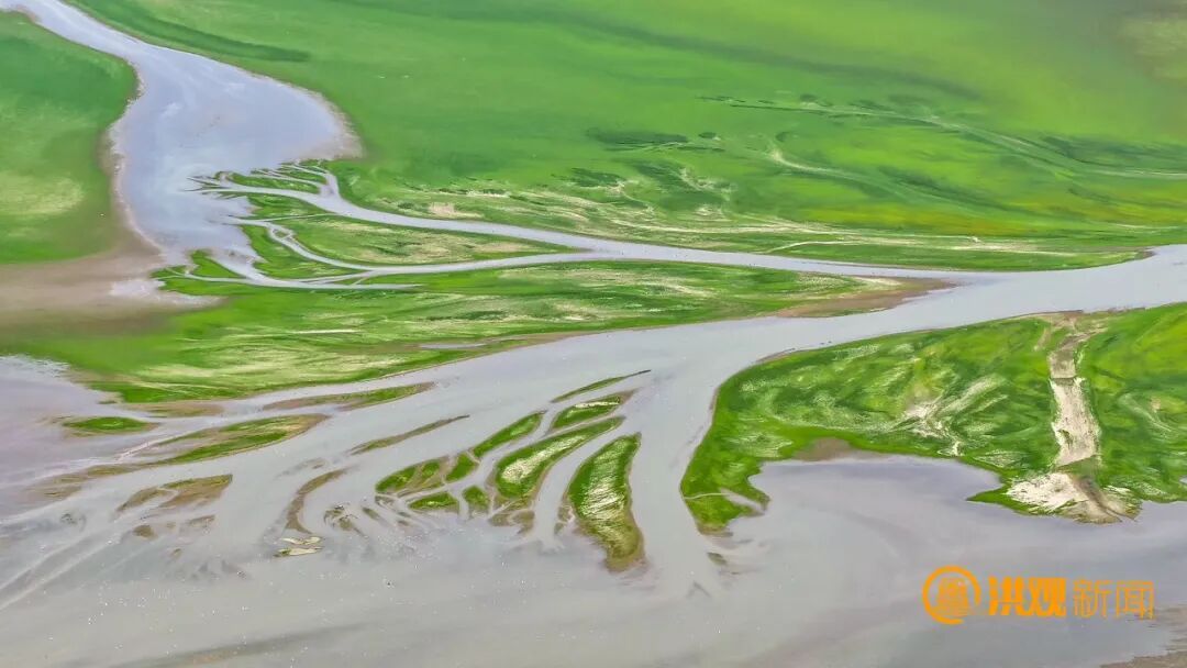 太美了!鄱阳湖现“大地之树”自然奇观 太美了!鄱阳湖现“大地之树”自然奇观