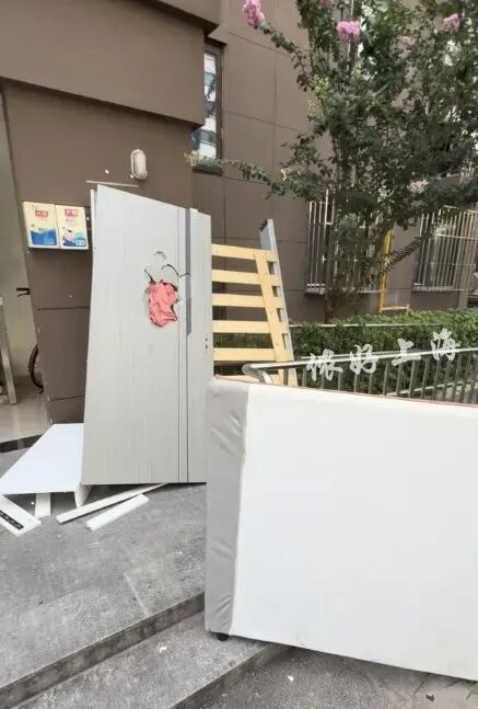 “00后”情侣租客失联，留下一屋恶臭、满地苍蝇蛆虫和两只小猫！上海房东崩溃……