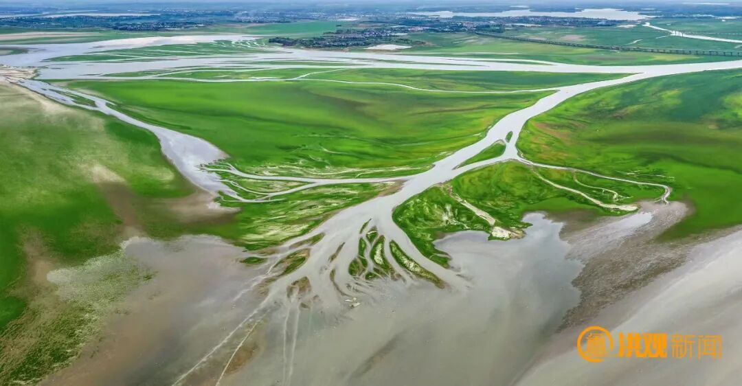 太美了!鄱阳湖现“大地之树”自然奇观 太美了!鄱阳湖现“大地之树”自然奇观