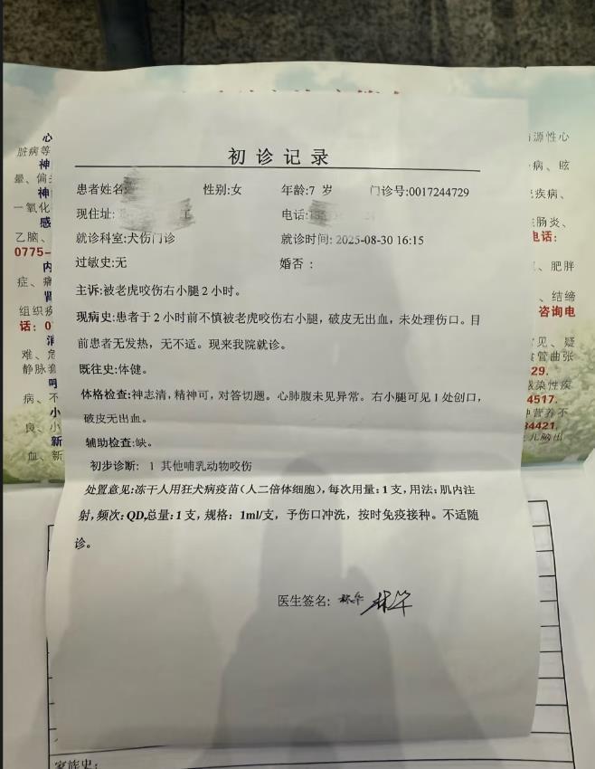 7岁女童和小老虎“亲密互动”，遭其咬伤右腿，家长：需打5针狂犬疫苗，已报警