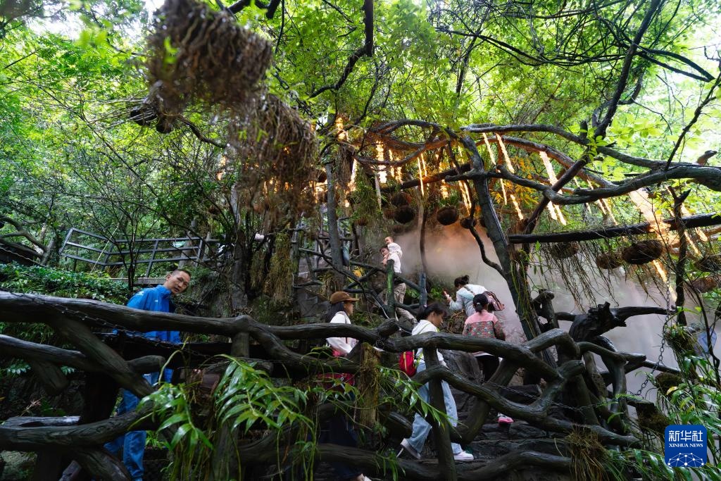 云南广南：三产融合铺就铁皮石斛致富路