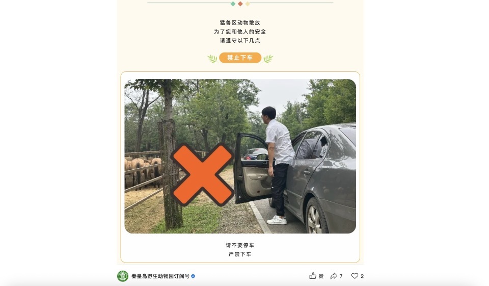两台车在动物园猛兽区剐蹭，车主下车沟通老虎一旁围观？园区回应