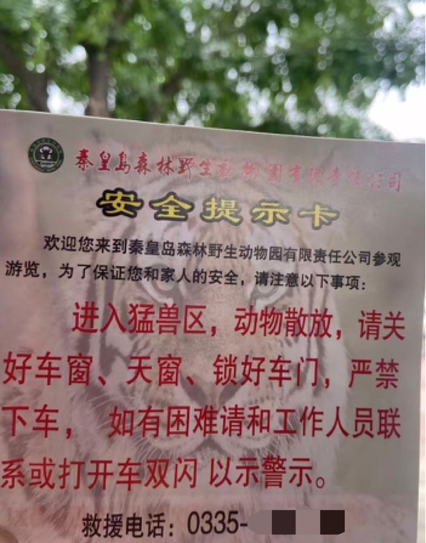 两台车在动物园猛兽区剐蹭，车主下车沟通老虎一旁围观？园区回应