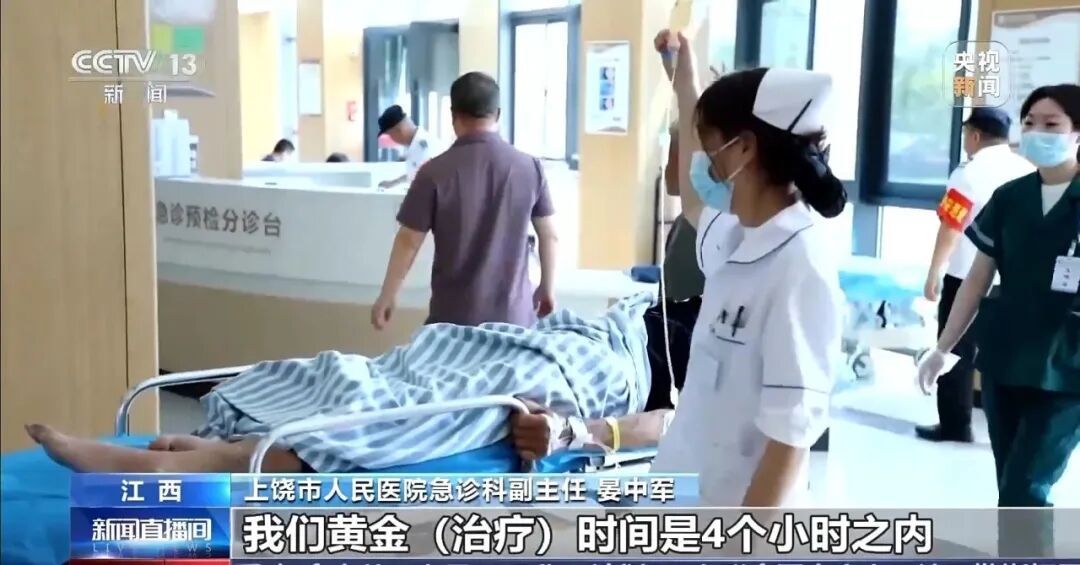 男子进山遇到五步蛇，想抓来玩，结果被喷一脸毒！