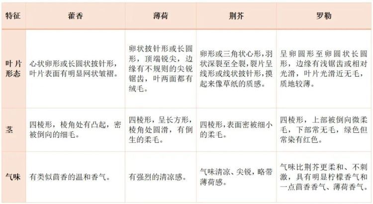 堪称“营养小宝库”,炖鱼、煮粥巨香,藿香这种菜该吃了 堪称“营养小宝库”,炖鱼、煮粥巨香,藿香这种菜该吃了