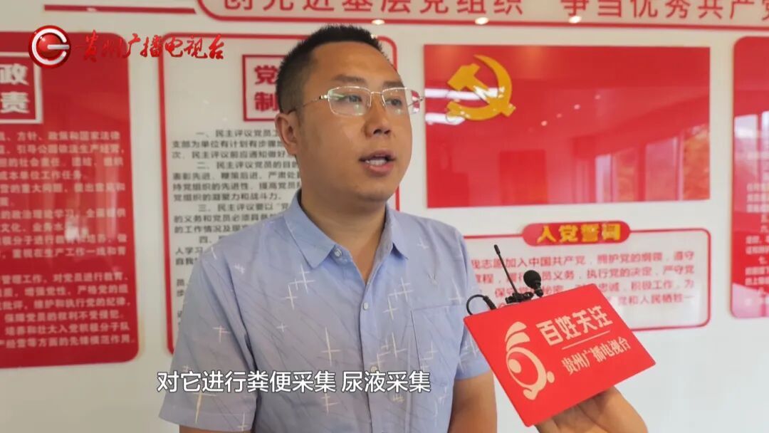 黔灵山公园“邋遢狮”让网友操碎了心？园方：它有自己的审美