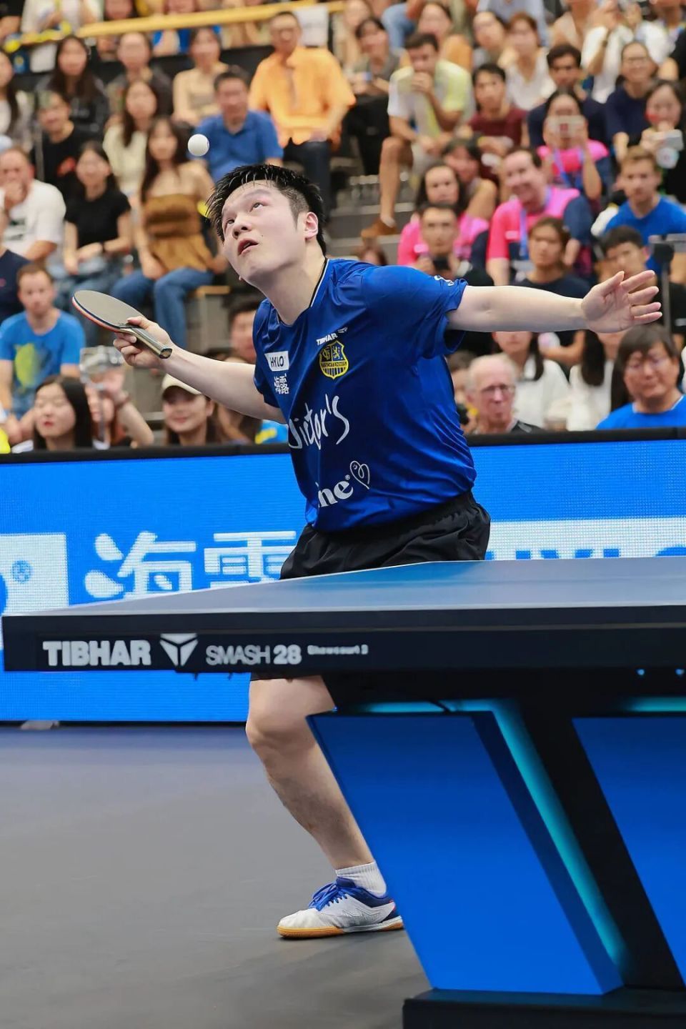 樊振东俱乐部队友达科：“以前的樊振东会回来的！”