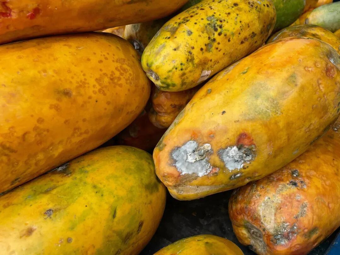 “最脏水果”第一名，小心一口就中招！很多镇江人都爱吃