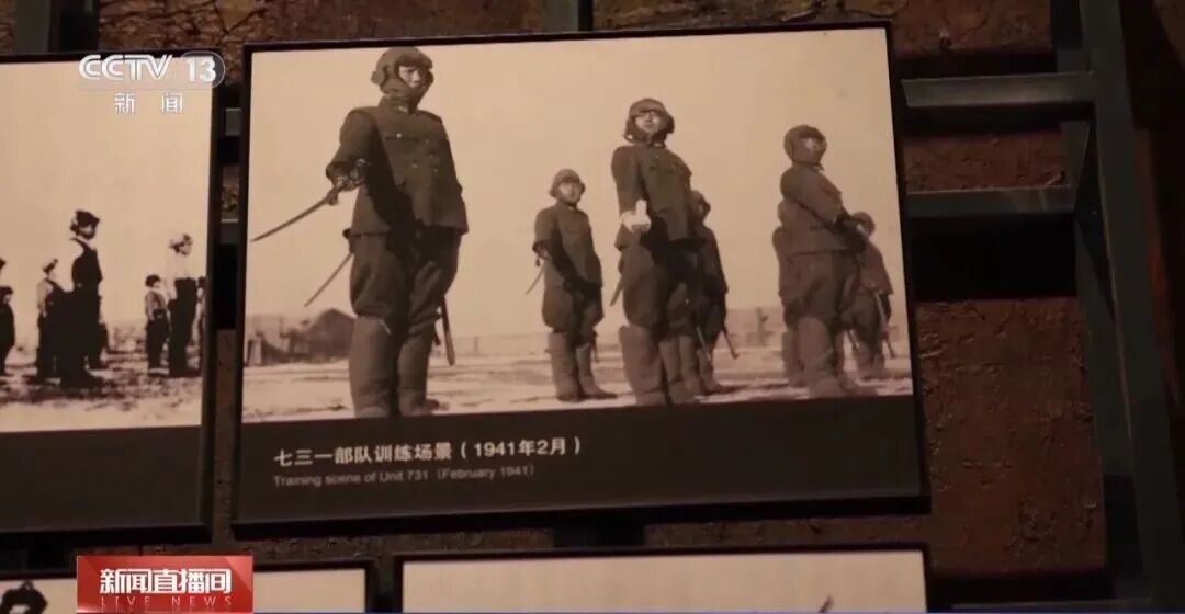 “地狱”见习生！这群14到18岁的少年为何如此残忍？
