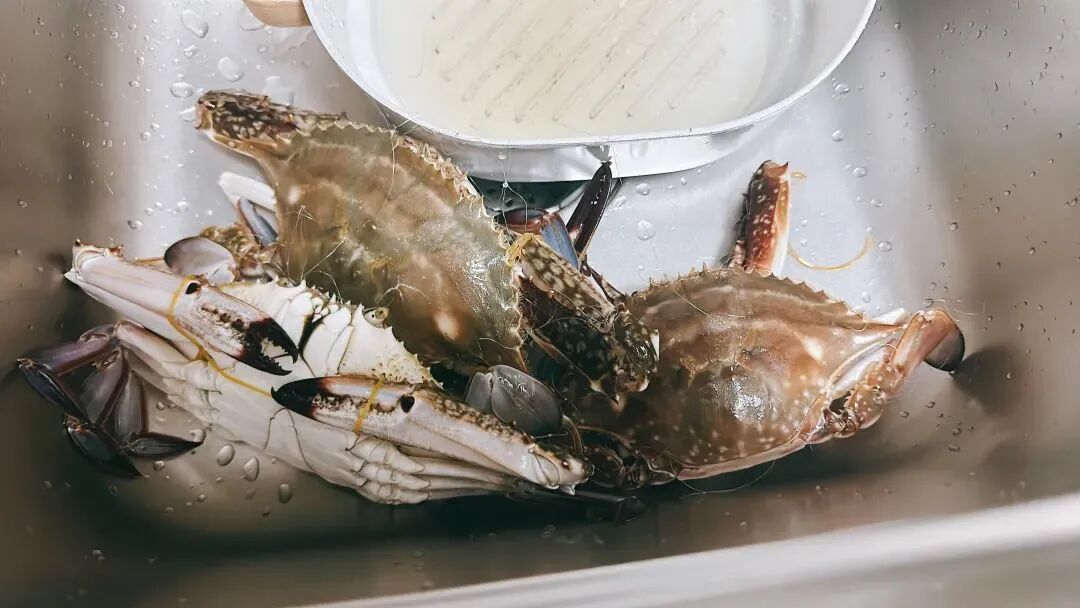 掀开后密密麻麻疑似“寄生虫”？近期大量上市，很多上海人爱吃