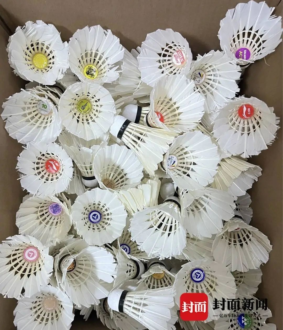 "一年涨三次，有没有人能管管！"涨幅超过黄金！网友后悔：应该多囤些…