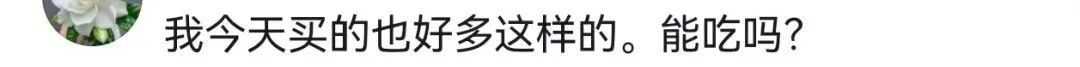 掀开后密密麻麻疑似“寄生虫”？近期大量上市，很多上海人爱吃