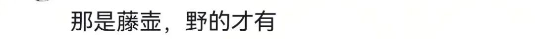 掀开后密密麻麻疑似“寄生虫”？近期大量上市，很多上海人爱吃