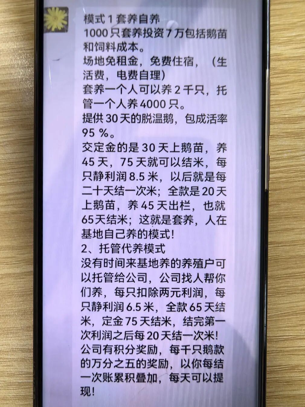 7万元换不来一只真鹅!新型“云养鹅”诈骗盯上老年人,警方紧急提醒 7万元换不来一只真鹅!新型“云养鹅”诈骗盯上老年人,警方紧急提醒