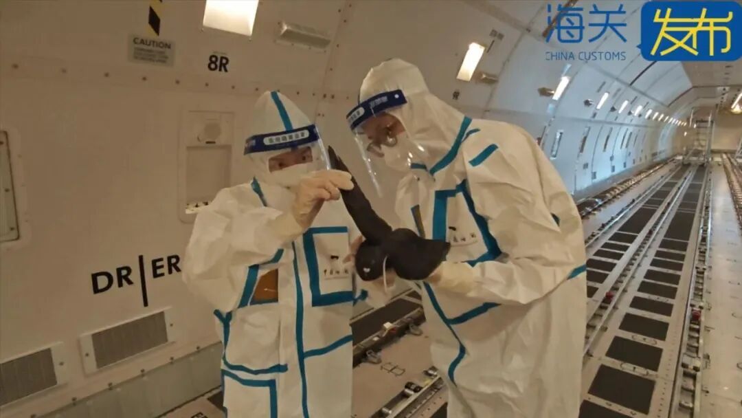 货舱内惊现“不速之客”！一只欧洲鸽子“偷渡”入境，被厦门机场海关截获！