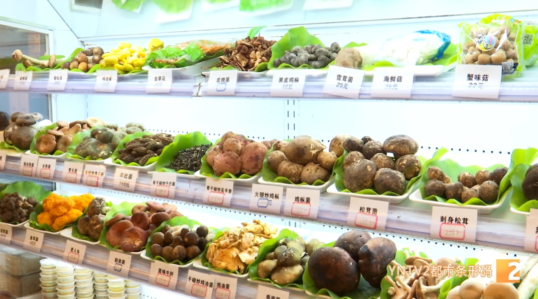 云南毒菌名单公布！见手青被“除名”！新增→