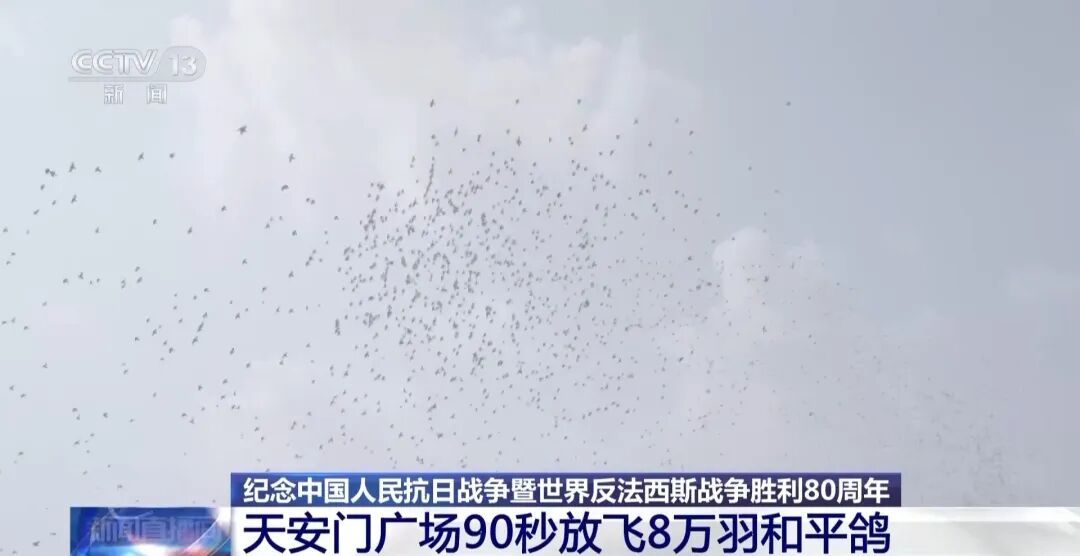 九三阅兵，这支庞大又特殊的队伍“压轴”出场