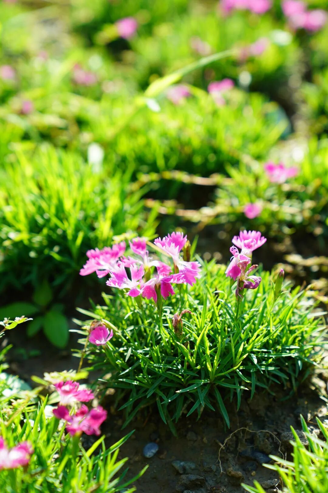 镜头下的北京科学中心丨欧石竹 镜头下的北京科学中心丨欧石竹