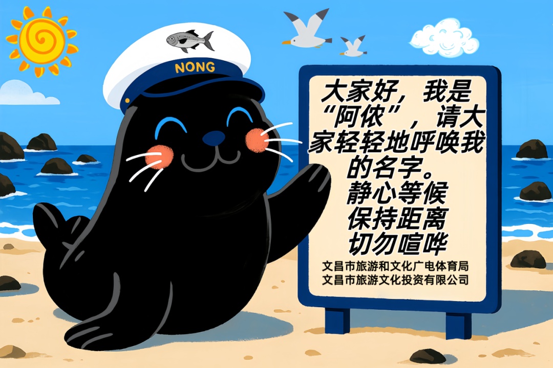 “阿侬”是什么海豹？究竟什么来头？又有新说法→