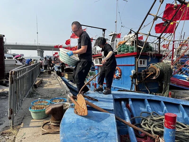 开海啦!15元一斤! 开海啦!15元一斤!